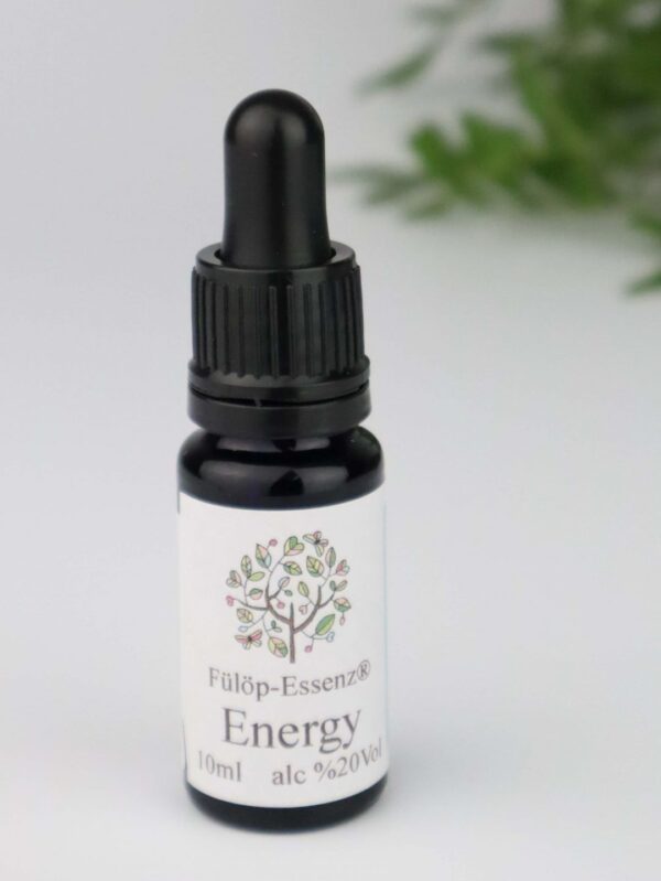 Essenz, Energie, Essenzen, Energiefluss, energetisch, Wohlbefinden, wohlfühlen, Wellness, Balance, Abgeschlagenheit, abgeschlagen, müde, Müdigkeit, Energy