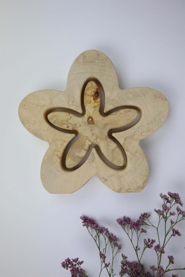 birke, holz, Blume