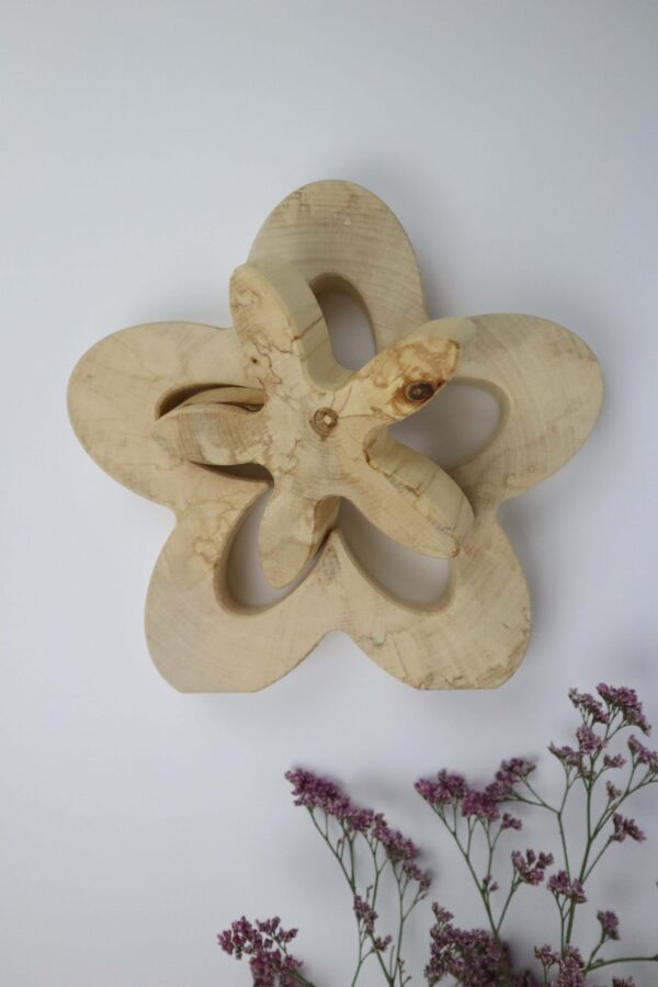 birke, holz, Blume