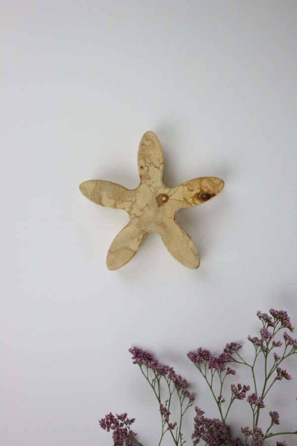 birke, holz, Blume