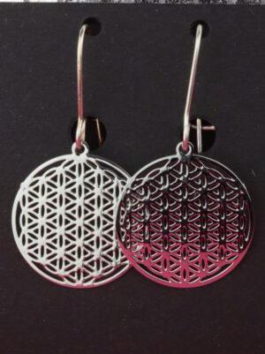 Ohrringe, Ohrhänger, Ohrschmuck, Boho, Bohemian, filigran, Messing, silber