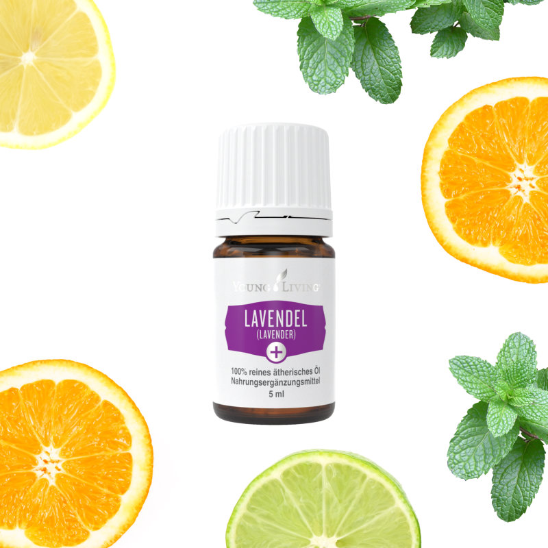 Lavendel, Lavender, Lavandula angustifolia, angustififolia, Öl, Duft, ätherisches Öl, YL, Young Living, Düfte, Natur, Wellness, Wirkung, Diffuser, Aroma, Aromatherapie, Duftöl, Aromaöl, Essential oil, Oillovers