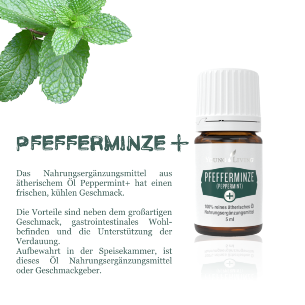 Pfefferminze, Peppermint, Minze, Grüne Minze, Öl, Duft, ätherisches Öl, YL, Young Living, Düfte, Natur, Wellness, Wirkung, Diffuser, Aroma, Aromatherapie, Duftöl, Aromaöl, Essential oil, Oillovers