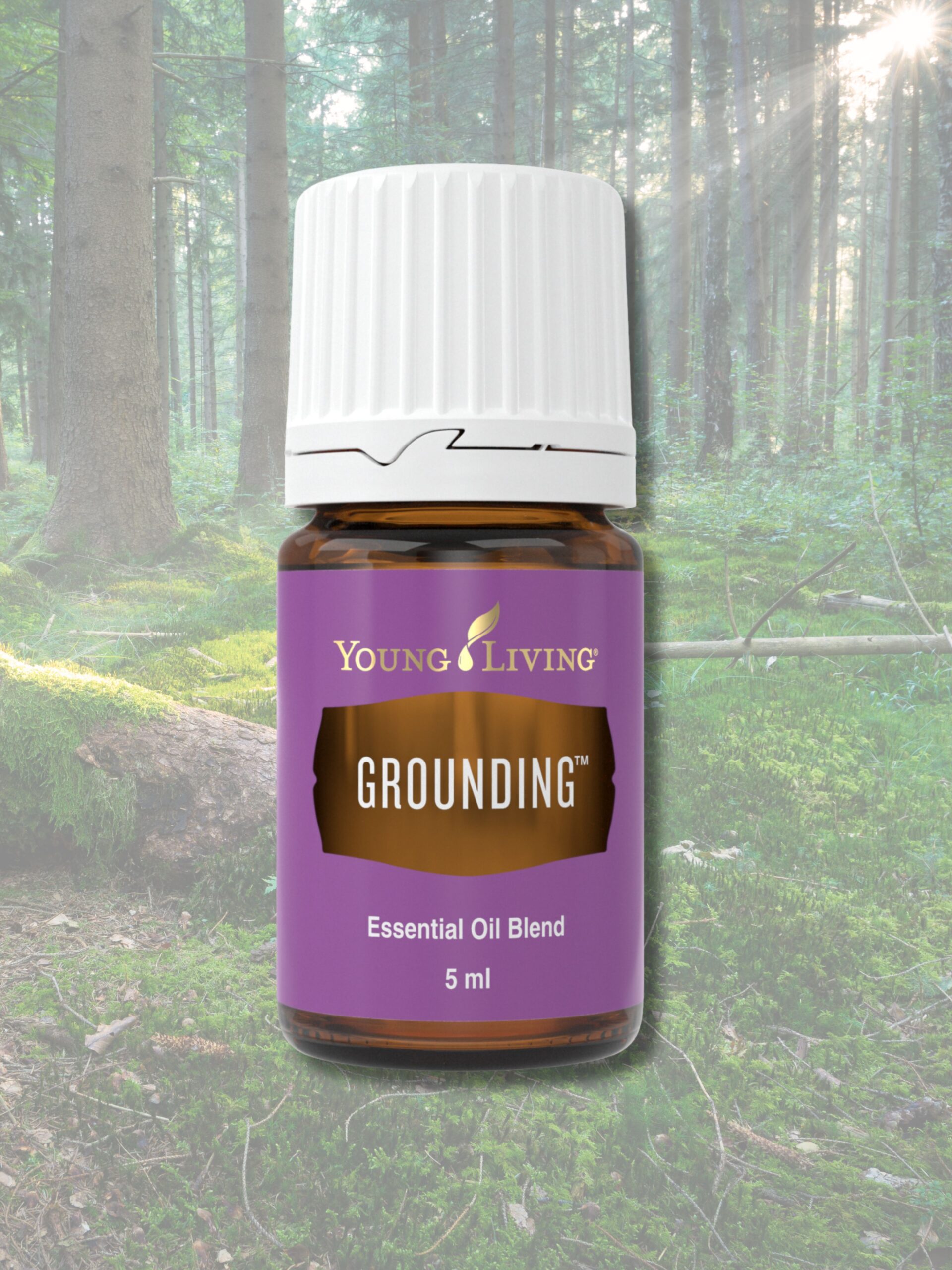 yl, young living, öl, ätherisches, essential, kaufen, einkaufen, online, onlineshop, shoppen, shop, laden, geschäft, regional, in, meiner, nähe, eferding, oberösterreich, natur, naturrein, rein, reines, ätherisch, hohe, auqlität, natürlich, top, gut, sehr, gut, höchste, kochen, backen, reinigungtrinken, immun, shot, gesund, gesundheit, grounding, erden, erdend, erdung, ground, wald, waldbaden, gesund