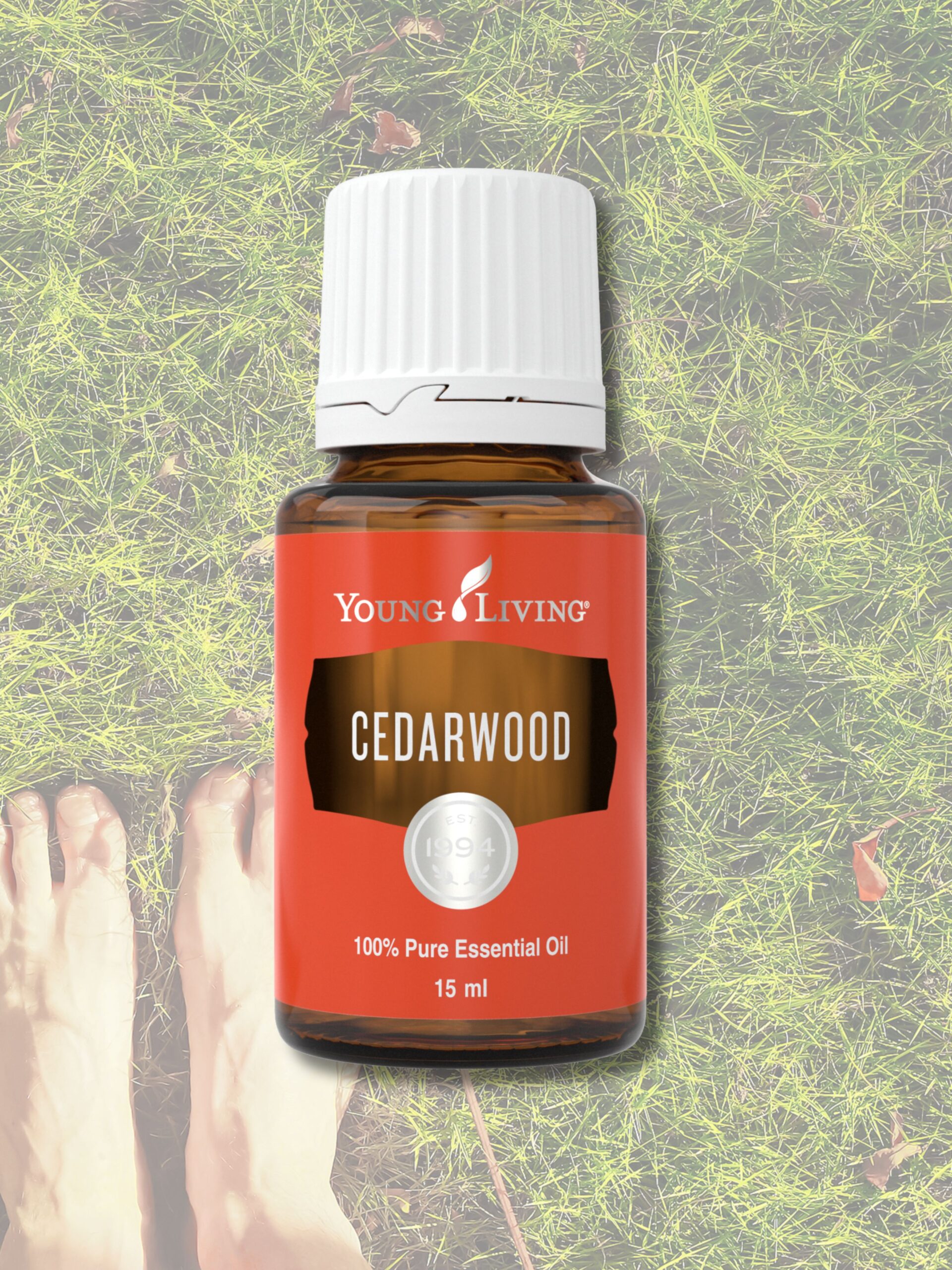 zeder, Zedernholz, cedar, cedarwood, holz, äö, ätherisches öl, young, living, kaufen, bestellen, wo, einkaufen, online, österreich, partner, shop, laden, geschäft, kaufen,