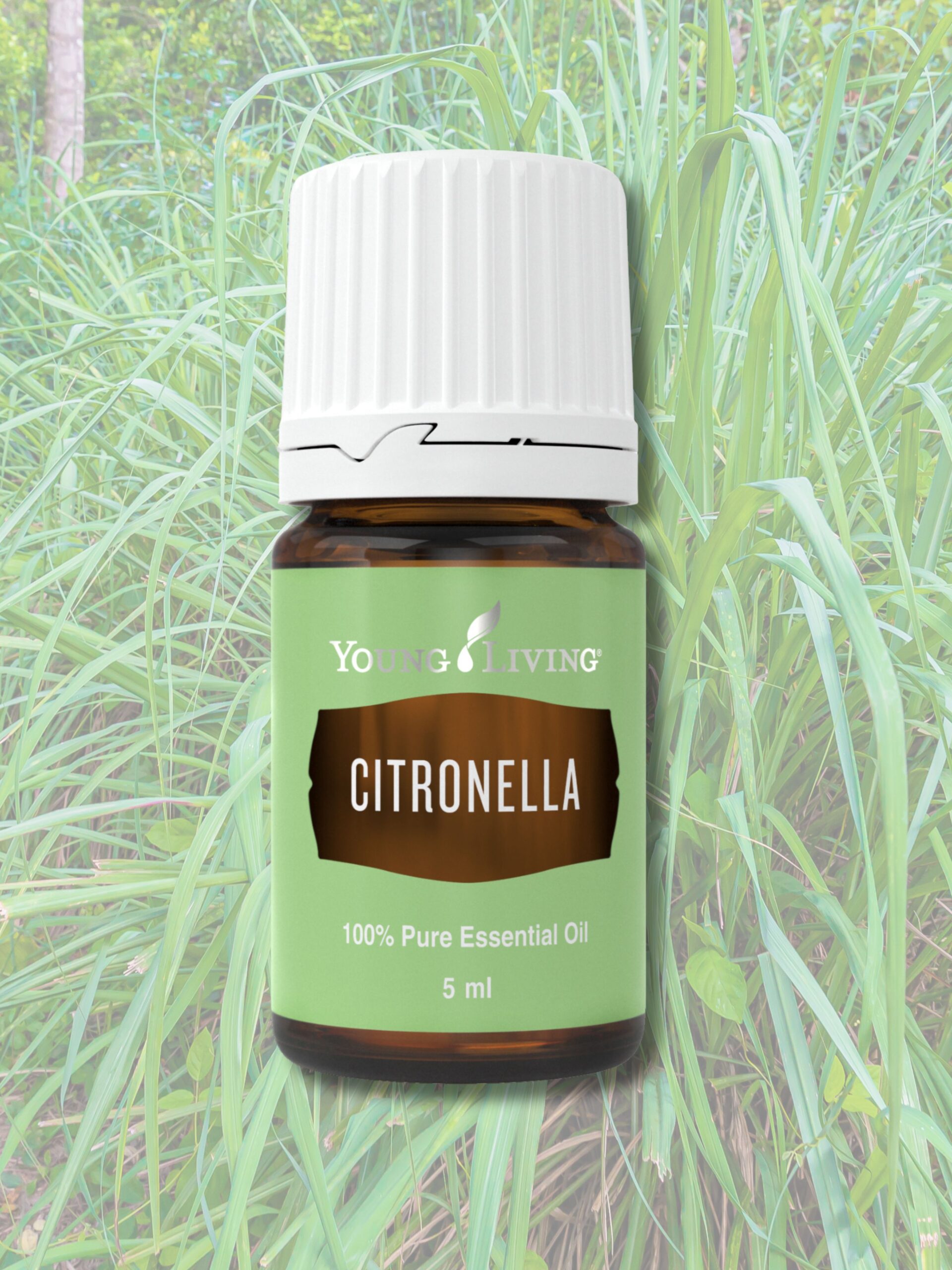 yl, young living, öl, ätherisches, essential, kaufen, einkaufen, online, onlineshop, shoppen, shop, laden, geschäft, regional, in, meiner, nähe, eferding, oberösterreich, natur, naturrein, rein, reines, ätherisch, hohe, auqlität, natürlich, top, gut, sehr, gut, höchste, immun, shot, gesund, gesundheit, citronella