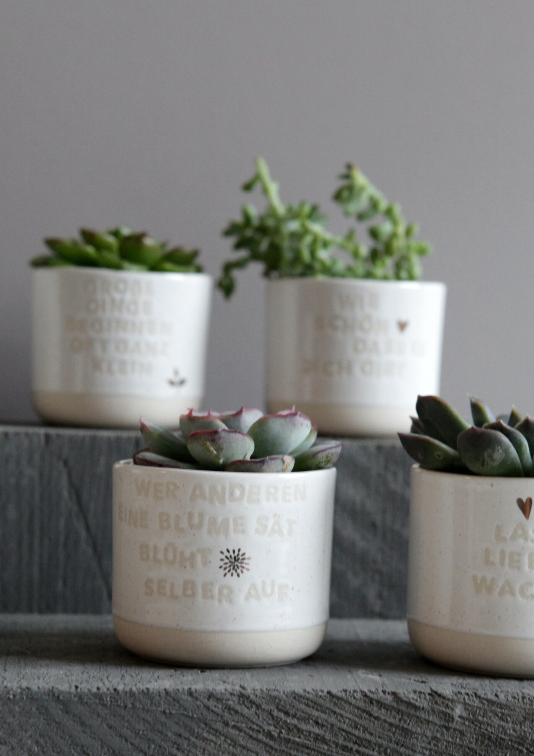 mini Blumentopf "wer anderen eine Blume sät.." – Bild 2