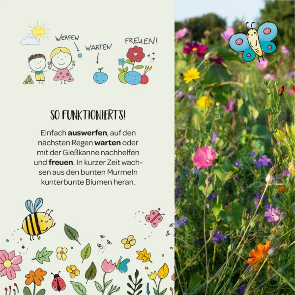 Murmel, blume, blumenmurmel, wiese, blumenwiese, wiesenblume, freude, garten, hobby, gärtner, kind, kinder, schenken, geschenk. lustig, draußen, samen, saar, saatkugel, samenkugel, frohe, ostern, osternest, einkaufen, kaufen, bestellen, shoppe, online, shop,