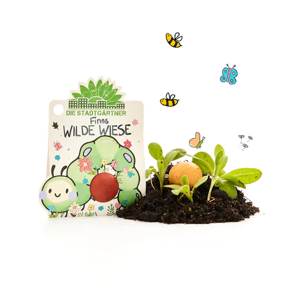 Murmel, blume, blumenmurmel, wiese, blumenwiese, wiesenblume, freude, garten, hobby, gärtner, kind, kinder, schenken, geschenk. lustig, draußen, samen, saar, saatkugel, samenkugel, frohe, ostern, osternest, einkaufen, kaufen, bestellen, shoppe, online, shop,