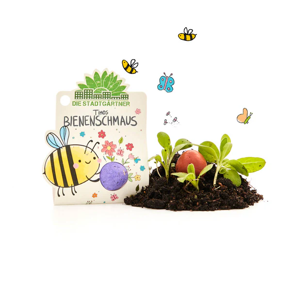 Murmel, blume, blumenmurmel, wiese, blumenwiese, wiesenblume, freude, garten, hobby, gärtner, kind, kinder, schenken, geschenk. lustig, draußen, samen, saar, saatkugel, samenkugel, frohe, ostern, osternest, einkaufen, kaufen, bestellen, shoppe, online, shop,