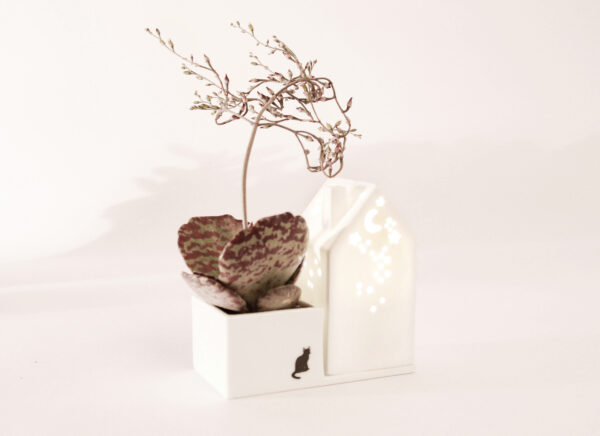 Keramik, blume, blumentraum, blumenretter, vase, vasen, väschen, deko, dekorativ, keramikdeko, frosch, gold, glanz, blumenvase, blumenretter, blumenliebe, garten, gartenliebe, dekorativ, good, old, friends, frosch, froschkönig, krone, krönchen, geschenk, schenken, geschenksidee, eferding, einkaufen, kaufen, shoppen, shop, geschäft, laden, online, bestellen, schnell, regional, in, meiner, nähe, garte, haus, hausgarten, häuschen. häiser, kerze, teelicht, blumentopf