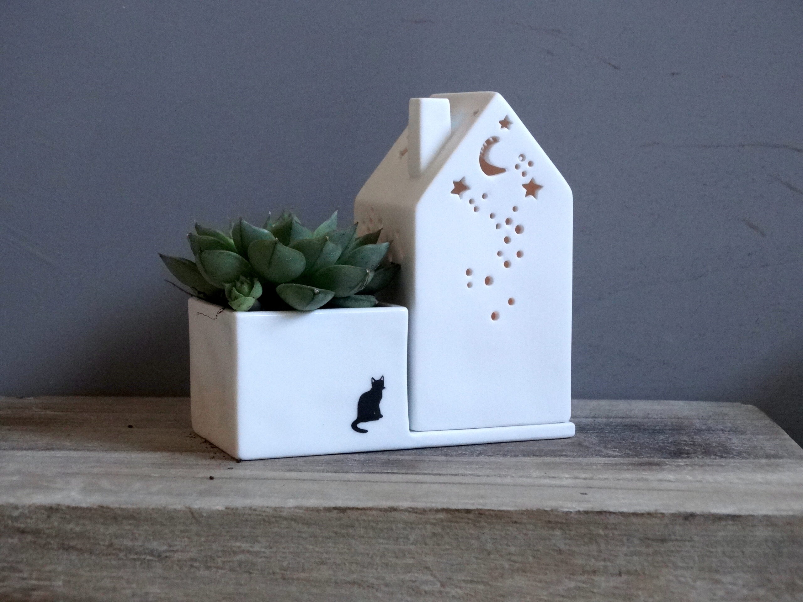 Keramik, blume, blumentraum, blumenretter, vase, vasen, väschen, deko, dekorativ, keramikdeko, frosch, gold, glanz, blumenvase, blumenretter, blumenliebe, garten, gartenliebe, dekorativ, good, old, friends, frosch, froschkönig, krone, krönchen, geschenk, schenken, geschenksidee, eferding, einkaufen, kaufen, shoppen, shop, geschäft, laden, online, bestellen, schnell, regional, in, meiner, nähe, garte, haus, hausgarten, häuschen. häiser, kerze, teelicht, blumentopf