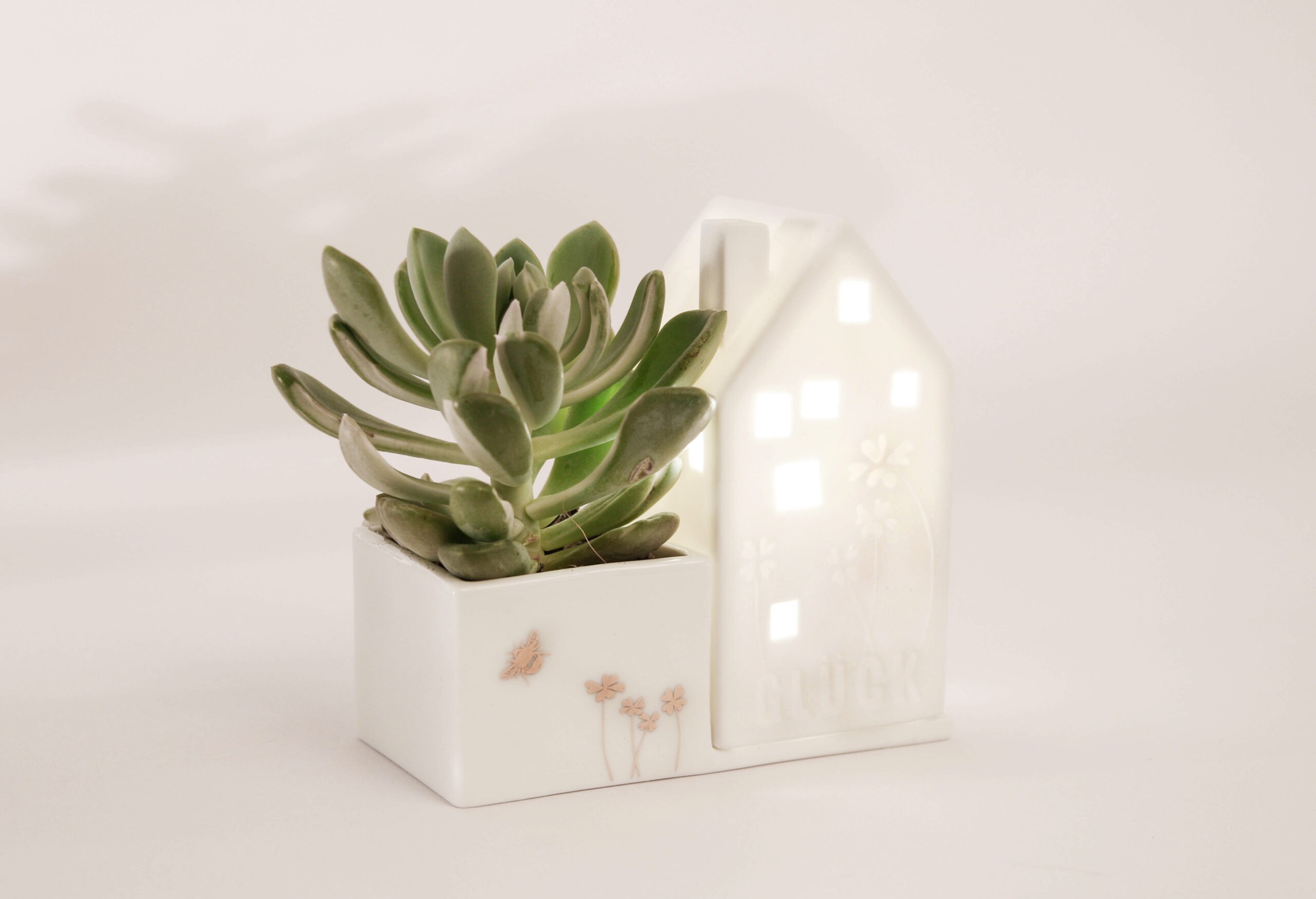 Keramik, blume, blumentraum, blumenretter, vase, vasen, väschen, deko, dekorativ, keramikdeko, frosch, gold, glanz, blumenvase, blumenretter, blumenliebe, garten, gartenliebe, dekorativ, good, old, friends, frosch, froschkönig, krone, krönchen, geschenk, schenken, geschenksidee, eferding, einkaufen, kaufen, shoppen, shop, geschäft, laden, online, bestellen, schnell, regional, in, meiner, nähe, garte, haus, hausgarten, häuschen. häiser, kerze, teelicht, blumentopf