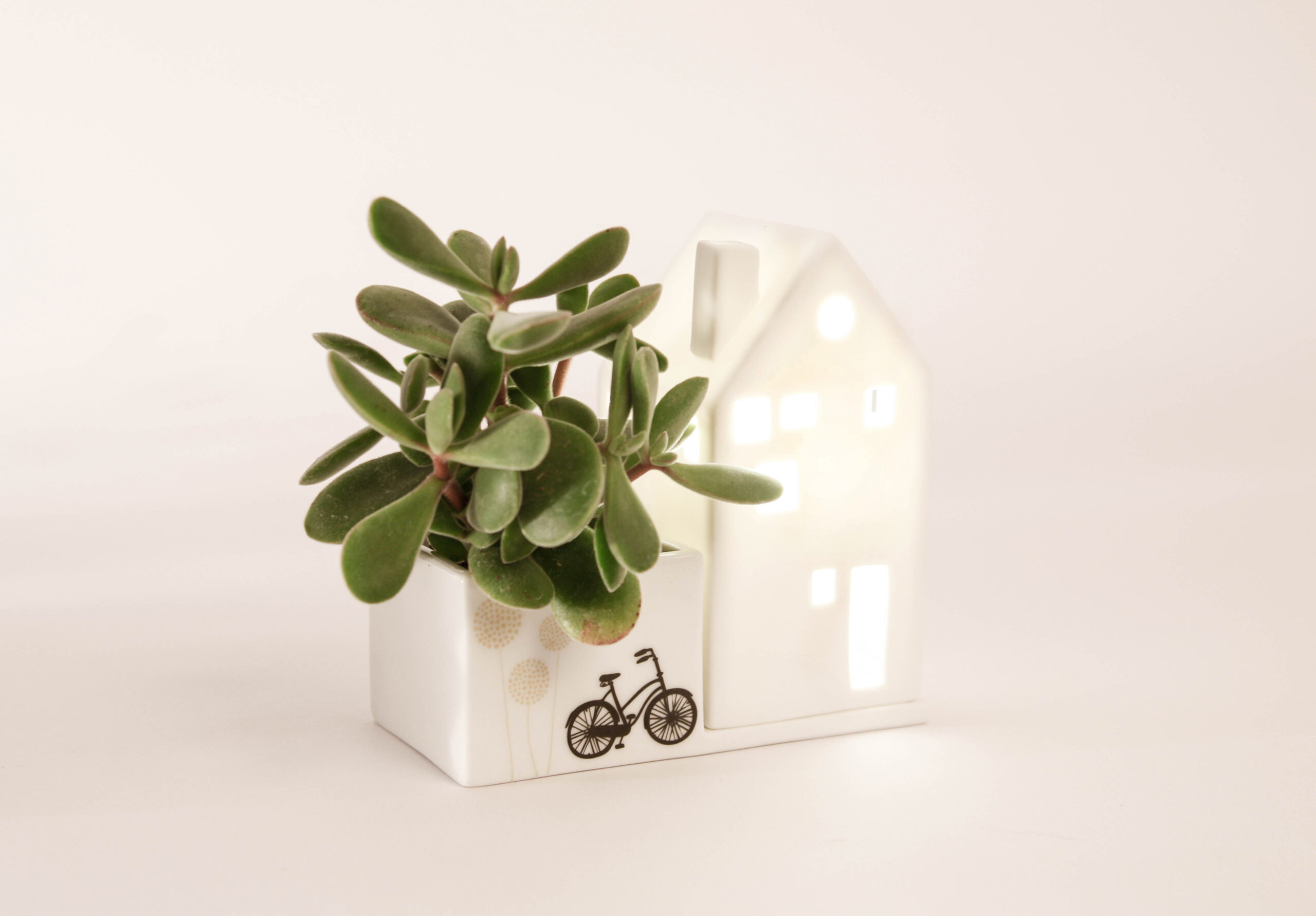 Keramik, blume, blumentraum, blumenretter, vase, vasen, väschen, deko, dekorativ, keramikdeko, frosch, gold, glanz, blumenvase, blumenretter, blumenliebe, garten, gartenliebe, dekorativ, good, old, friends, frosch, froschkönig, krone, krönchen, geschenk, schenken, geschenksidee, eferding, einkaufen, kaufen, shoppen, shop, geschäft, laden, online, bestellen, schnell, regional, in, meiner, nähe, garte, haus, hausgarten, häuschen. häiser, kerze, teelicht, blumentopf