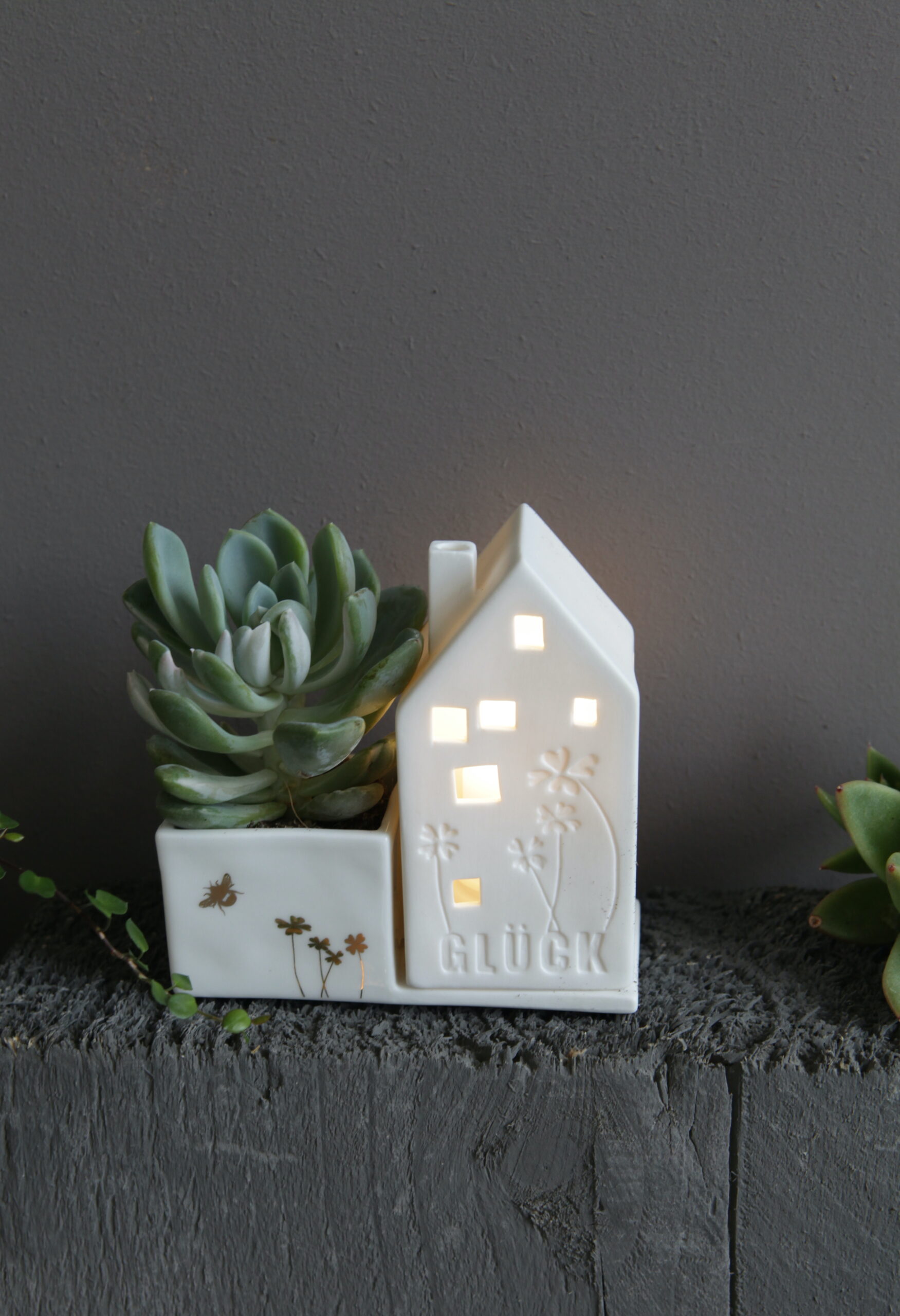 Keramik, blume, blumentraum, blumenretter, vase, vasen, väschen, deko, dekorativ, keramikdeko, frosch, gold, glanz, blumenvase, blumenretter, blumenliebe, garten, gartenliebe, dekorativ, good, old, friends, frosch, froschkönig, krone, krönchen, geschenk, schenken, geschenksidee, eferding, einkaufen, kaufen, shoppen, shop, geschäft, laden, online, bestellen, schnell, regional, in, meiner, nähe, garte, haus, hausgarten, häuschen. häiser, kerze, teelicht, blumentopf