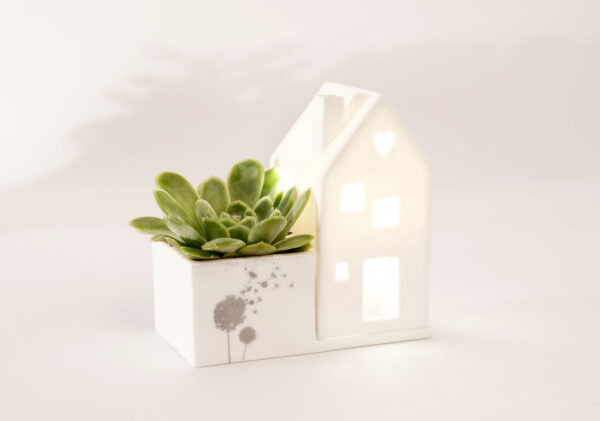 Keramik, blume, blumentraum, blumenretter, vase, vasen, väschen, deko, dekorativ, keramikdeko, frosch, gold, glanz, blumenvase, blumenretter, blumenliebe, garten, gartenliebe, dekorativ, good, old, friends, frosch, froschkönig, krone, krönchen, geschenk, schenken, geschenksidee, eferding, einkaufen, kaufen, shoppen, shop, geschäft, laden, online, bestellen, schnell, regional, in, meiner, nähe, garte, haus, hausgarten, häuschen. häiser, kerze, teelicht, blumentopf