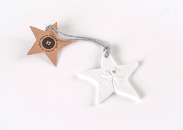 winter, deko, hänger, behang, baum, christbaum, baumbehang, schmücken, shcmuck, baumschmuck, packerl, aufputz, schenken, schmuck, geschenk, schal, dekorativ, wichtel, wichteln, wichtelgeschenk, wichtelig, eferding, einkaufen, kaufen, shoppen, online, onlineshop, in, meiner, ähe, bestellen, regional, einkaufen, wesl, linz, shop, packerl, kleinigkeit, stern, sterntaler, mädchen, fee, hirsch, vogel, schnee, schneeflocke