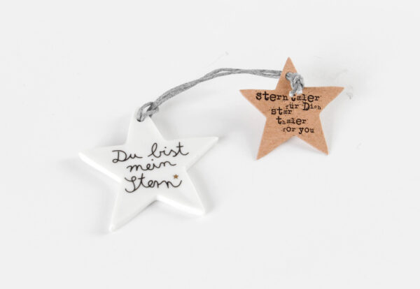winter, deko, hänger, behang, baum, christbaum, baumbehang, schmücken, shcmuck, baumschmuck, packerl, aufputz, schenken, schmuck, geschenk, schal, dekorativ, wichtel, wichteln, wichtelgeschenk, wichtelig, eferding, einkaufen, kaufen, shoppen, online, onlineshop, in, meiner, ähe, bestellen, regional, einkaufen, wesl, linz, shop, packerl, kleinigkeit, stern, sterntaler, mädchen, fee, hirsch, vogel, schnee, schneeflocke