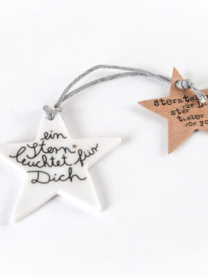 winter, deko, hänger, behang, baum, christbaum, baumbehang, schmücken, shcmuck, baumschmuck, packerl, aufputz, schenken, schmuck, geschenk, schal, dekorativ, wichtel, wichteln, wichtelgeschenk, wichtelig, eferding, einkaufen, kaufen, shoppen, online, onlineshop, in, meiner, ähe, bestellen, regional, einkaufen, wesl, linz, shop, packerl, kleinigkeit, stern, sterntaler, mädchen, fee, hirsch, vogel, schnee, schneeflocke