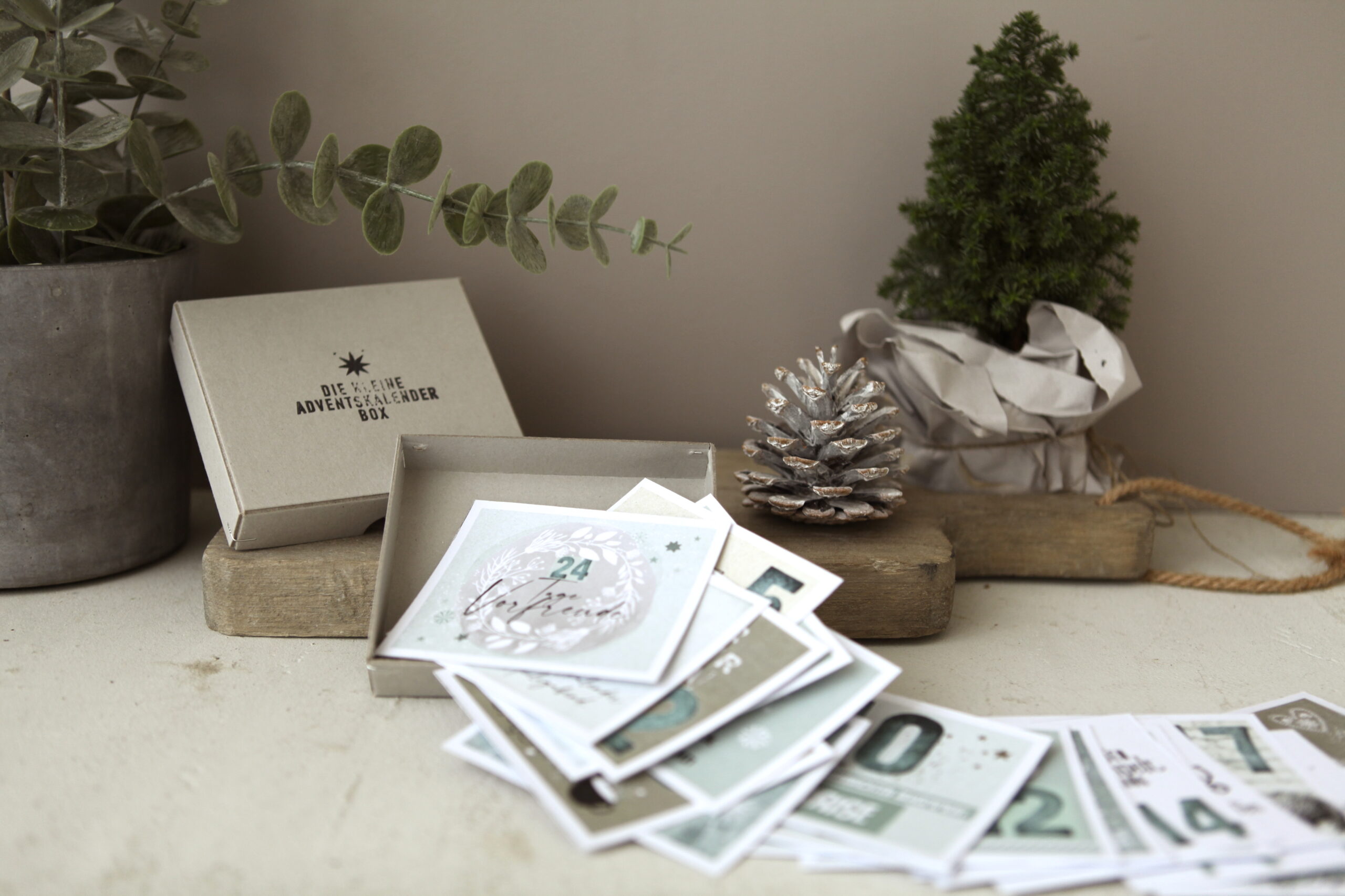 advent, adventkalender, kalender, schnekne, geschenk, box, spruch, sprüche, geschenksidee, für, dich, schenken, geschenk, besonders, eferding, einkaufen, kaufen, online, bestellen, anders, vegan, beliebt, liebevoll, lustig, witzig, onlineshop,