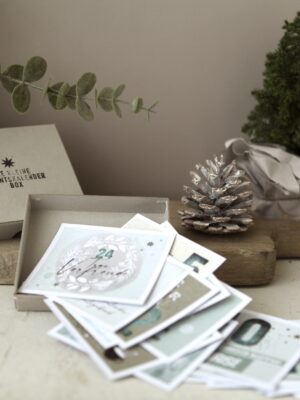 advent, adventkalender, kalender, schnekne, geschenk, box, spruch, sprüche, geschenksidee, für, dich, schenken, geschenk, besonders, eferding, einkaufen, kaufen, online, bestellen, anders, vegan, beliebt, liebevoll, lustig, witzig, onlineshop,