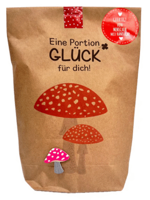 überraschung, wundertüte, überraschungstüte, schenken, geschenk, besonders, liebevoll, verpackt, geschenksidee, verschenken, mitbringsel, kleinigkeit, Weihnachten, advent, silvester, glück, glückspilz, fliegenpilz