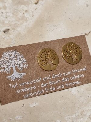 Ohrstecker, ohrringe, ohren, ohr, ohrschmuck, schmuck, schenken, geschenk, edelstahl, hypoallergen, wasserfest, farbecht, färbt nicht ab, farbe, verliert, eferding, obnerösterreich, online, einkaufen, anbieter, region, regional, kaufen, shoppen, geschäft, laden, in, meiner nähe, geschenksidee, freundin, beste, frau, ehefrau, partnerin, liebe, pflanzenlieben, freund, gold, edelstahl, biene, bee, happy