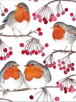 serviette, deko, tisch, tischkkultur, tafel, gedeckter, gedeck, dekoration, liebevoll, serviette, tischschmuck, mitbringsel, für, jede, gelegenheit, schön, schöne, modern, moderne, trend, trendig, germany, deutschland, produziert, eu, eferding, kaufen, einkaufen, bestellen, online, österreich, oberösterreich, wichtel, mitbringsel, kleinigkeit, weihnachten, weihnachtsdeko