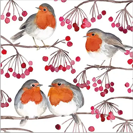 serviette, deko, tisch, tischkkultur, tafel, gedeckter, gedeck, dekoration, liebevoll, serviette, tischschmuck, mitbringsel, für, jede, gelegenheit, schön, schöne, modern, moderne, trend, trendig, germany, deutschland, produziert, eu, eferding, kaufen, einkaufen, bestellen, online, österreich, oberösterreich, wichtel, mitbringsel, kleinigkeit, weihnachten, weihnachtsdeko